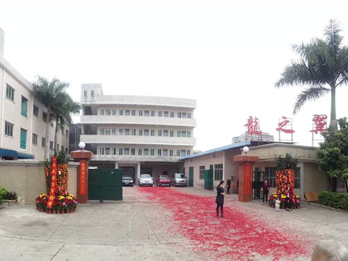 龍之翼文化
